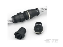 Winkelstecker mit Pfostenstiftkontakten, CPC Serie 1-CAT-AM71-C83998GG